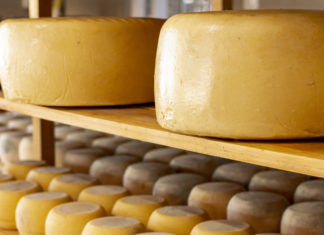 Copertina articolo sul formaggio
