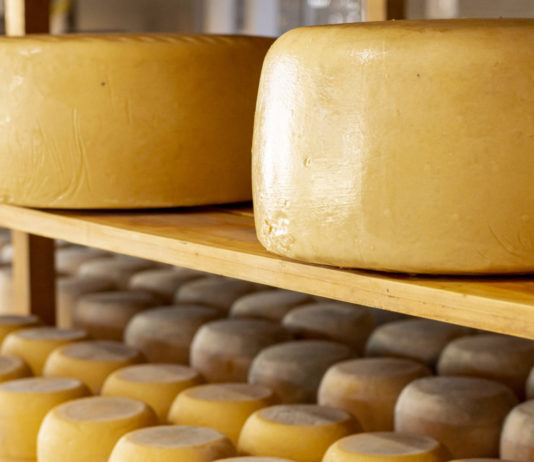 Copertina articolo sul formaggio
